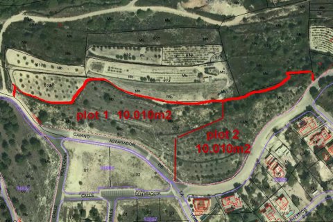 Land plot for sale Moraira, Alicante, Spain No. 80522 - photo 6