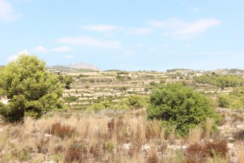 Land plot for sale Moraira, Alicante, Spain No. 80522 - photo 4