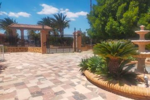Villa for sale Elche, Alicante, Spain 3 bedrooms, 190 sq.m. No. 115059 - photo 5