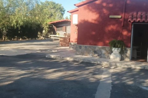 Villa for sale Elche, Alicante, Spain 4 bedrooms, 150 sq.m. No. 115056 - photo 28