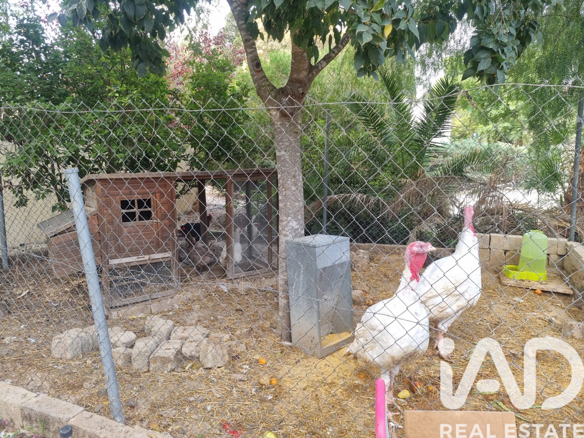 Parcela en Alguazas, Murcia, España 700 m2 No. 185242