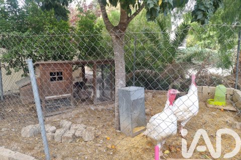 Terreno in vendita a Alguazas, Murcia, Spagna 700 mq. N° 185242 - foto 7