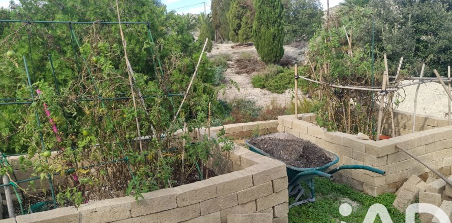 Terreno a Alguazas, Murcia, Spagna 700 mq. N° 185242