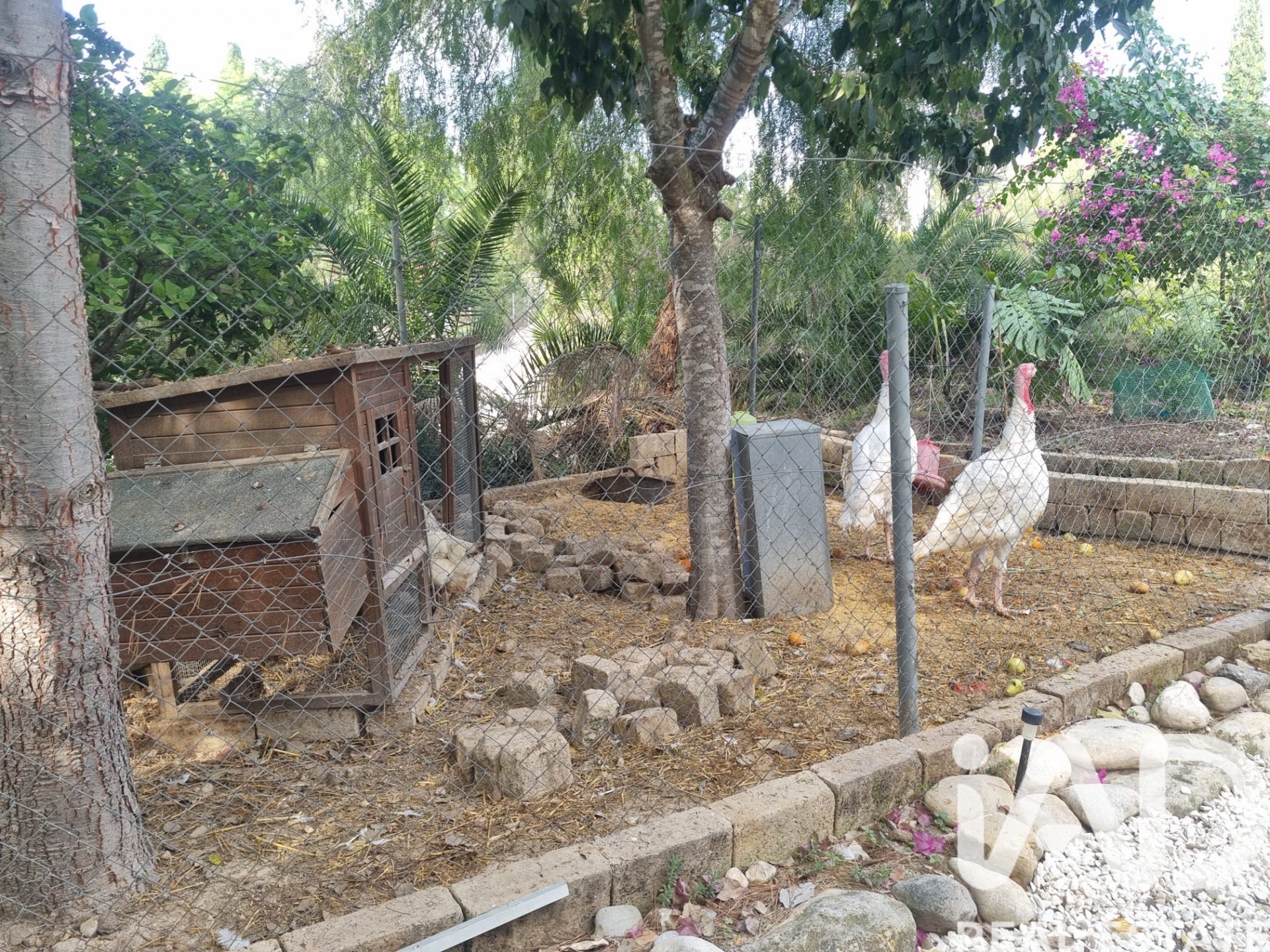 Parcela en Alguazas, Murcia, España 700 m2 No. 185242