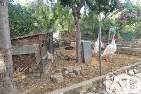 Terreno in vendita a Alguazas, Murcia, Spagna 700 mq. N° 185242 - foto 4