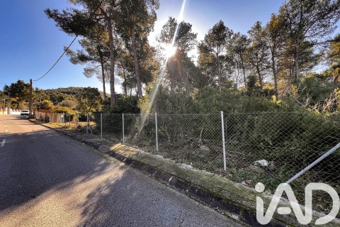 Terreno a Vallirana, Barcelona, Spagna 2317 mq. N° 185324
