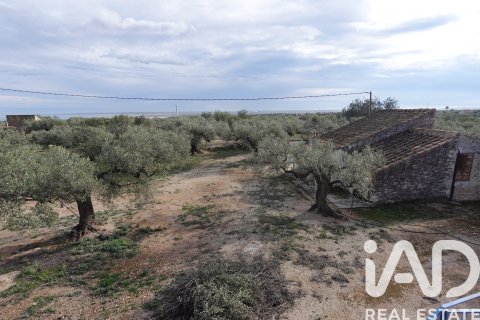 Propiedad comercial en venta en L'Ampolla, Tarragona, España No. 185241 - foto 27