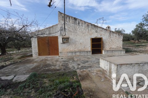 Gewerbeimmobilien in L'Ampolla, Tarragona, Spanien Nr. 185241