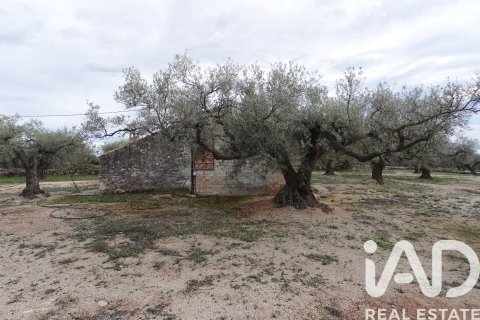 Propiedad comercial en venta en L'Ampolla, Tarragona, España No. 185241 - foto 7