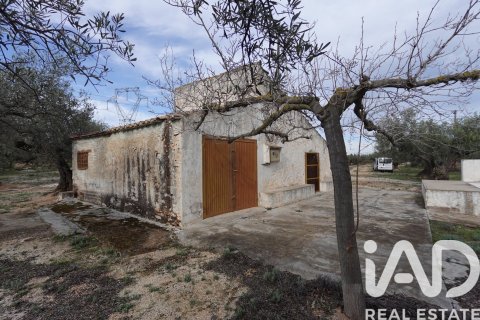 Propiedad comercial en venta en L'Ampolla, Tarragona, España No. 185241 - foto 4