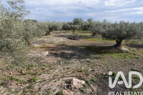 Propiedad comercial en venta en L'Ampolla, Tarragona, España No. 185241 - foto 30