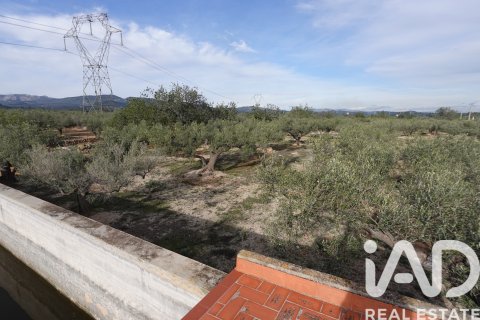 Propiedad comercial en venta en L'Ampolla, Tarragona, España No. 185241 - foto 25