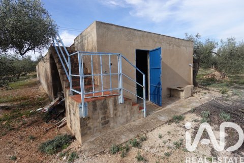 Propiedad comercial en venta en L'Ampolla, Tarragona, España No. 185241 - foto 17