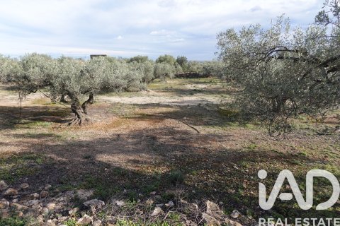 Propiedad comercial en venta en L'Ampolla, Tarragona, España No. 185241 - foto 29