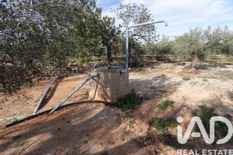 Propiedad comercial en venta en L'Ampolla, Tarragona, España No. 185241 - foto 28