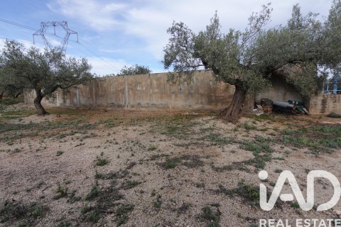 Propiedad comercial en venta en L'Ampolla, Tarragona, España No. 185241 - foto 15