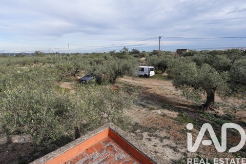 Propiedad comercial en venta en L'Ampolla, Tarragona, España No. 185241 - foto 26