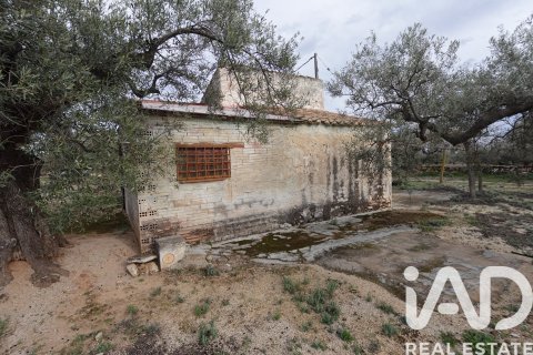 Propiedad comercial en venta en L'Ampolla, Tarragona, España No. 185241 - foto 5