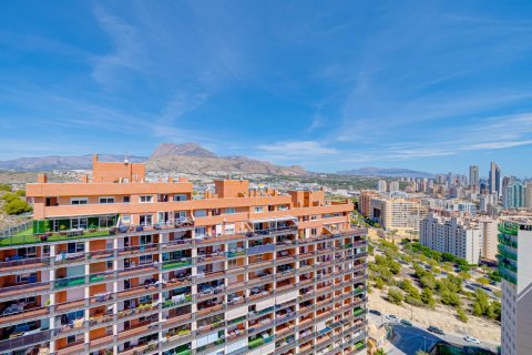 Takvåning för uthyrning Villajoyosa, Alicante, Spanien 1 sovrum, 60 kvm. Nr. 139395 - foto 22