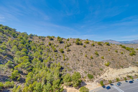 Takvåning för uthyrning Villajoyosa, Alicante, Spanien 1 sovrum, 60 kvm. Nr. 139395 - foto 30
