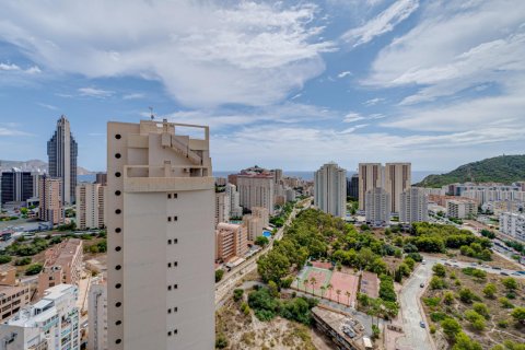 Lägenhet för uthyrning Villajoyosa, Alicante, Spanien 1 sovrum, 52 kvm. Nr. 139394 - foto 17