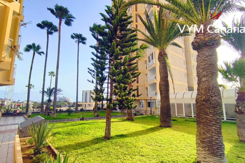 Dzīvoklis pārdošanā Playa de las Americas, Tenerife, Spānijā 1 istaba, 48 m2 Nr. 187480 - attēls 21