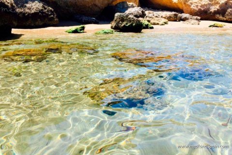 Villa pārdošanā Aguilas, Murcia, Spānijā 4 istabas, 188 m2 Nr. 161115 - attēls 11