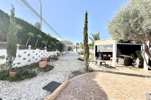 Villa à vendre Villamartin, Alicante, Espagne, 4 chambres, 150 m2 No. 111160 - photo 12