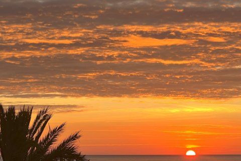 Huoneisto myytävänä Gandia, Valencia, Espanja, 3 makuuhuonetta, 105 m2 No. 173371 - kuva 16