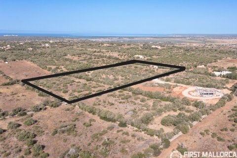Terreno in vendita a Campos, Mallorca, Spagna 4 camere da letto, 21393 mq. N° 168660 - foto 5
