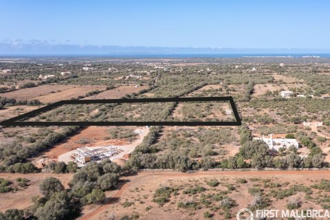 Terreno in vendita a Campos, Mallorca, Spagna 4 camere da letto, 21393 mq. N° 168660 - foto 6