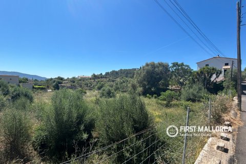 Land plot for sale in Es Capdella, Mallorca, Spain 2416 sq.m. No. 168655 - photo 5