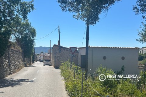 Land plot for sale in Es Capdella, Mallorca, Spain 2416 sq.m. No. 168655 - photo 12