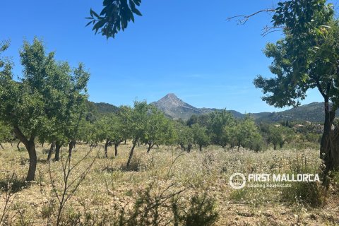 Land plot for sale in Es Capdella, Mallorca, Spain 2416 sq.m. No. 168655 - photo 8