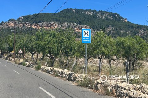 Land plot for sale in Es Capdella, Mallorca, Spain 2416 sq.m. No. 168655 - photo 7