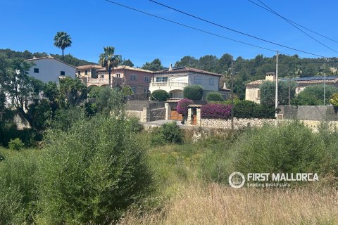 Land plot for sale in Es Capdella, Mallorca, Spain 2416 sq.m. No. 168655 - photo 10