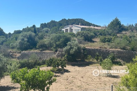 Land plot for sale in Es Capdella, Mallorca, Spain 2416 sq.m. No. 168655 - photo 11