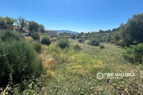 Land plot for sale in Es Capdella, Mallorca, Spain 2416 sq.m. No. 168655 - photo 3