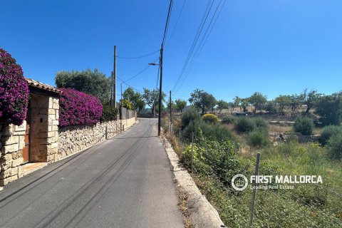 Land plot for sale in Es Capdella, Mallorca, Spain 2416 sq.m. No. 168655 - photo 6