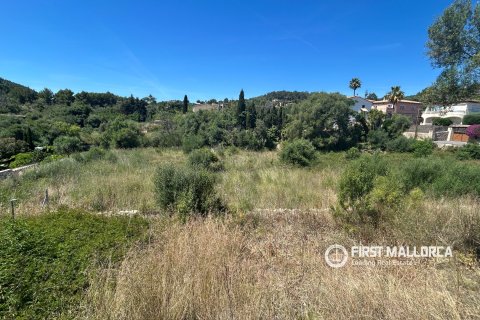 Land plot for sale in Es Capdella, Mallorca, Spain 2416 sq.m. No. 168655 - photo 2