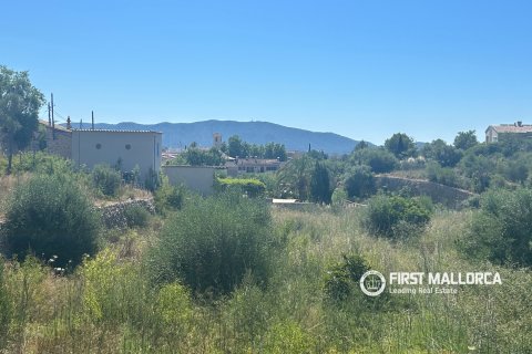 Land plot for sale in Es Capdella, Mallorca, Spain 2416 sq.m. No. 168655 - photo 4