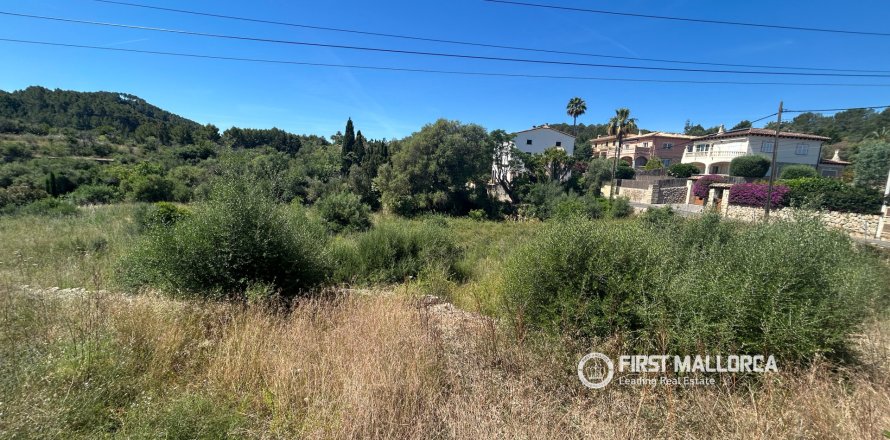 Land plot in Es Capdella, Mallorca, Spain 2416 sq.m. No. 168655