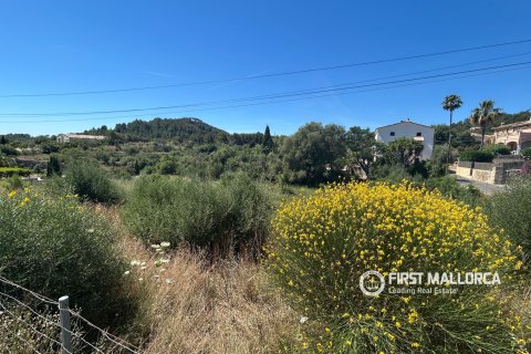 Land plot for sale in Es Capdella, Mallorca, Spain 2416 sq.m. No. 168655 - photo 9