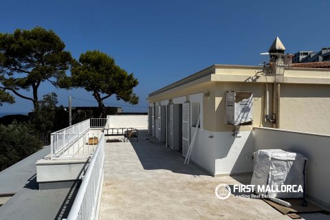 Penthäuser zum Verkauf in Port De Soller, Mallorca, Spanien 1 Schlafzimmer, 126 m2 Nr. 168658 - Foto 15