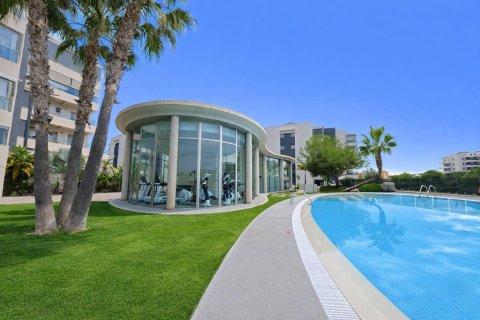 Apartment for sale in Villamartin, Alicante, Spain 3 bedrooms, 97 sq.m. No. 179525 - photo 25