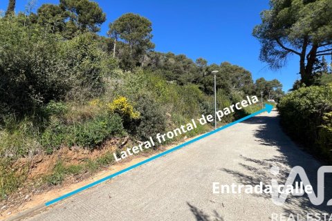 Land plot à vendre à Vallromanes, Barcelona, Espagne, 2008 m2 No. 172546 - photo 5