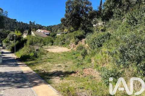 Land plot à vendre à Vallromanes, Barcelona, Espagne, 2008 m2 No. 172546 - photo 8