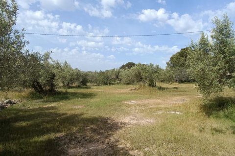 Сasa en venta en L'Ametlla de Mar, Tarragona, España 3 dormitorios, 75 m2 No. 172548 - foto 16