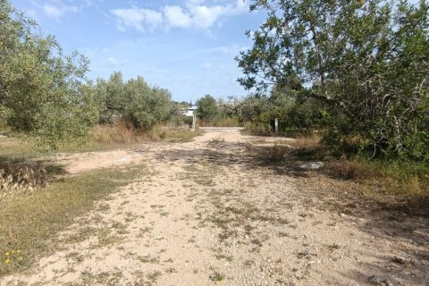 Сasa en venta en L'Ametlla de Mar, Tarragona, España 3 dormitorios, 75 m2 No. 172548 - foto 19