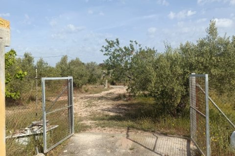 Сasa en venta en L'Ametlla de Mar, Tarragona, España 3 dormitorios, 75 m2 No. 172548 - foto 20